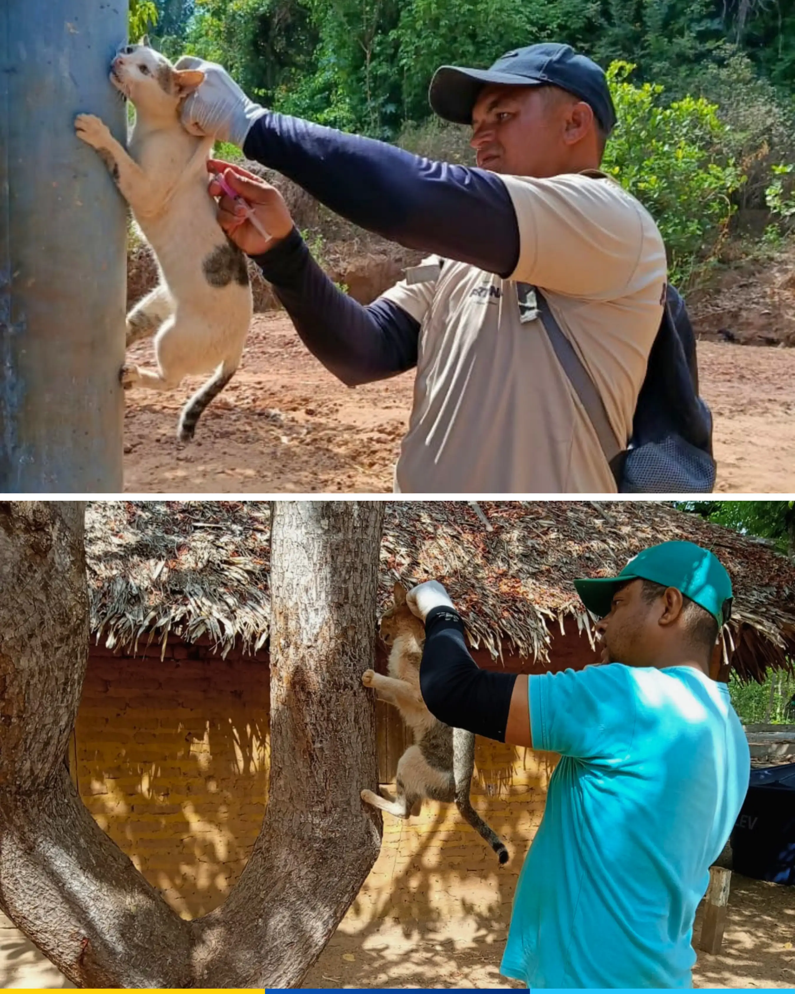 Foto 1 – PREFEITURA DE FORTUNA REALIZA CAMPANHA DE VACINAÇÃO ANTIRRÁBICA