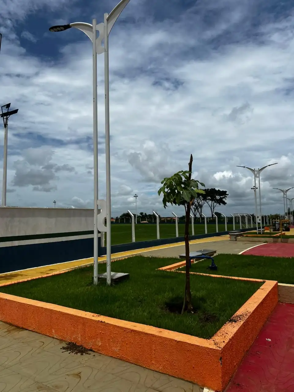 Foto 3 – Prefeitura de Fortuna reforça ações de arborização e sustentabilidade