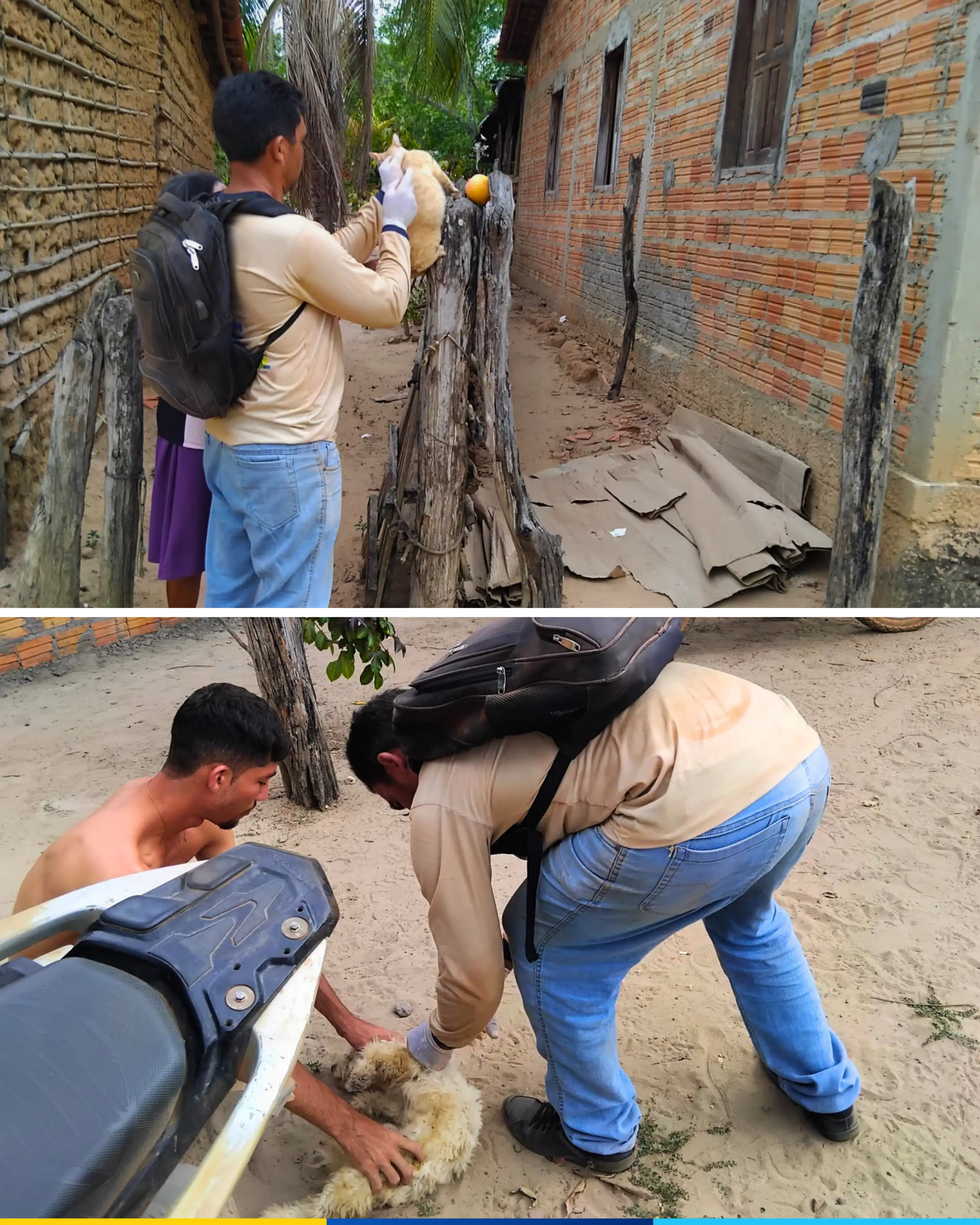 Foto 3 – PREFEITURA DE FORTUNA REALIZA CAMPANHA DE VACINAÇÃO ANTIRRÁBICA