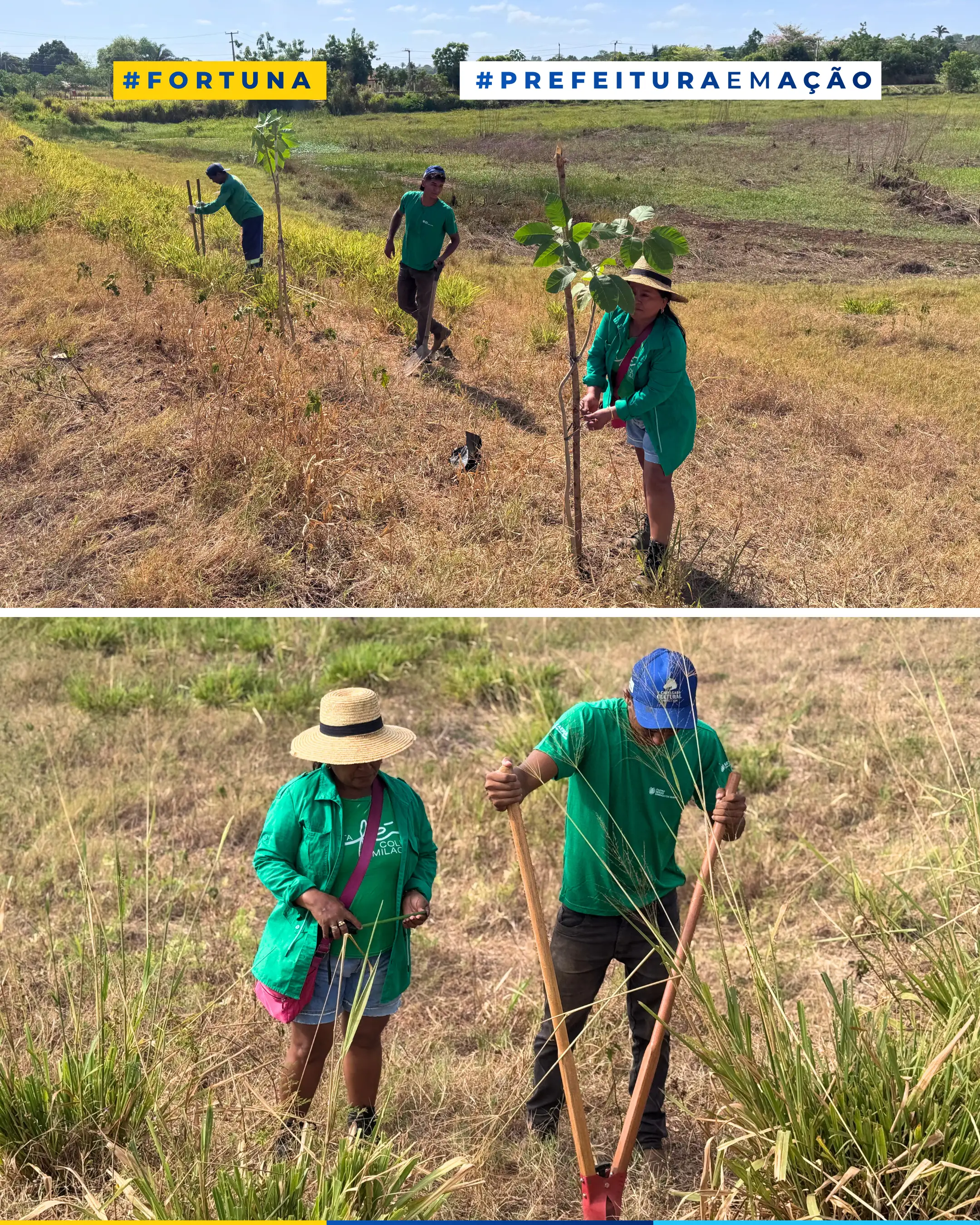Foto 6 – PREFEITURA DE FORTUNA REALIZA AÇÃO DE PLANTIO DE ÁRVORES NA MARGEM DO AÇUDE DA RUA DA GLÓRIA