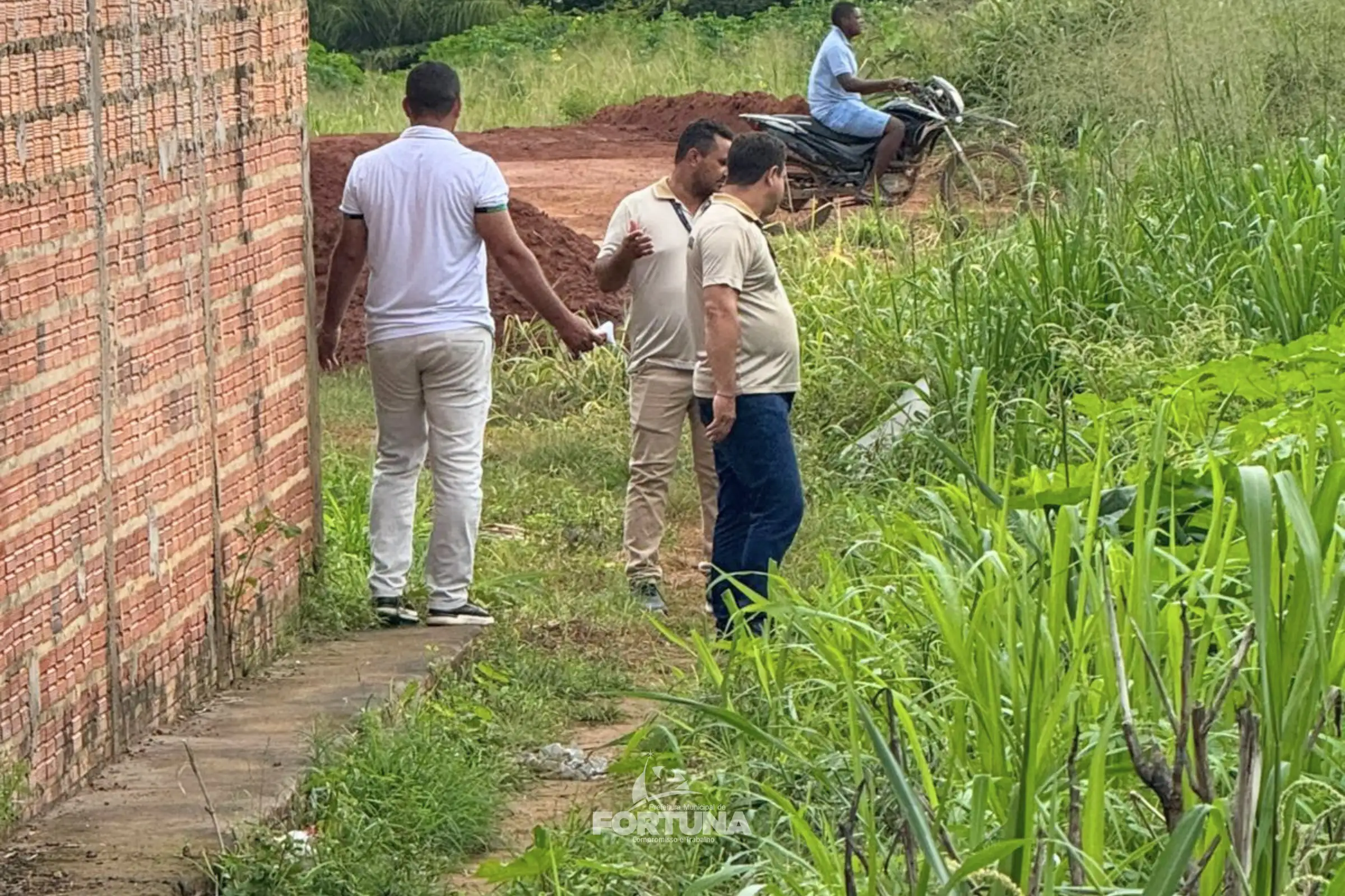 Foto 2 – Prefeitura de Fortuna intensifica ações de combate ao caramujo africano em áreas críticas