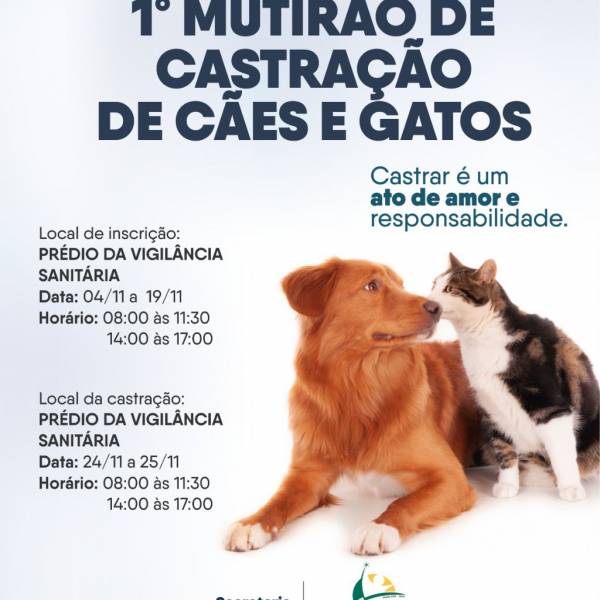 Programa de castração gratuita de cães e gatos “machos”