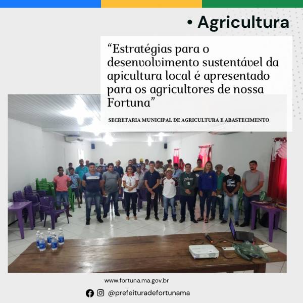 Cadeia produtiva do mel recebe incentivo no município de Fortuna